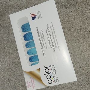 Color Street- Cold Front